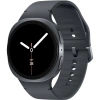 Умные часы Samsung Galaxy Watch8 40мм LTE (Graphite)